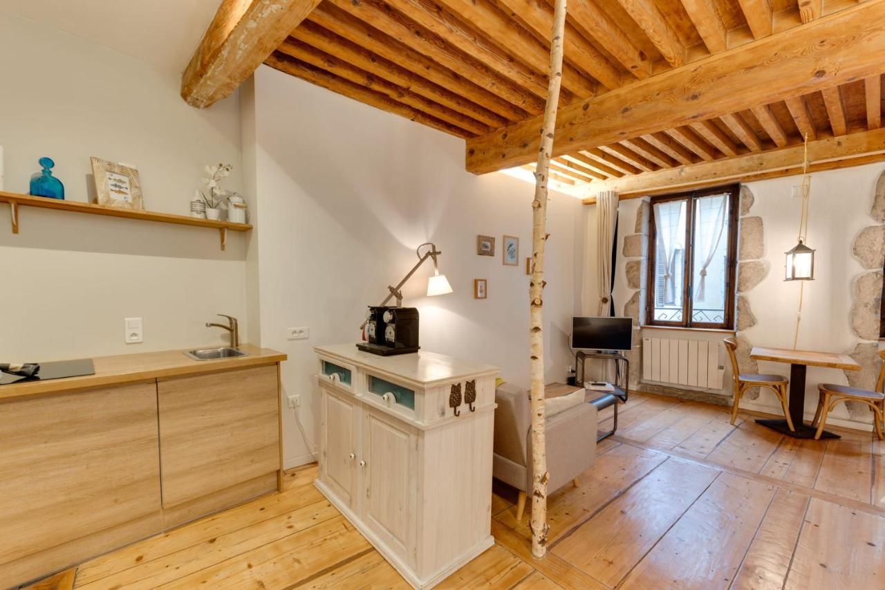 La Cour Filaterie - Suite Of 30 Sq M In The Annecy Breakfast Included エクステリア 写真