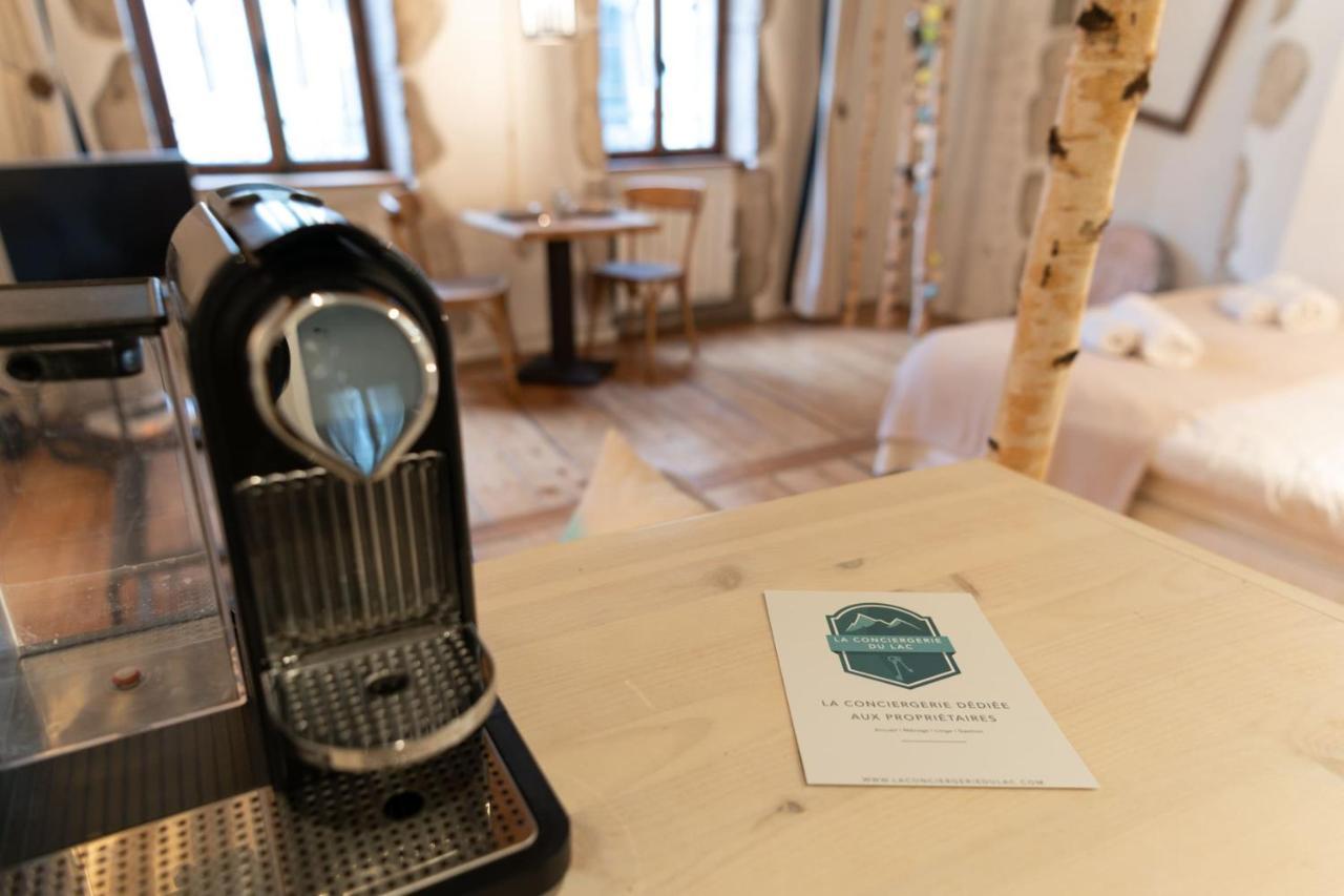 La Cour Filaterie - Suite Of 30 Sq M In The Annecy Breakfast Included エクステリア 写真