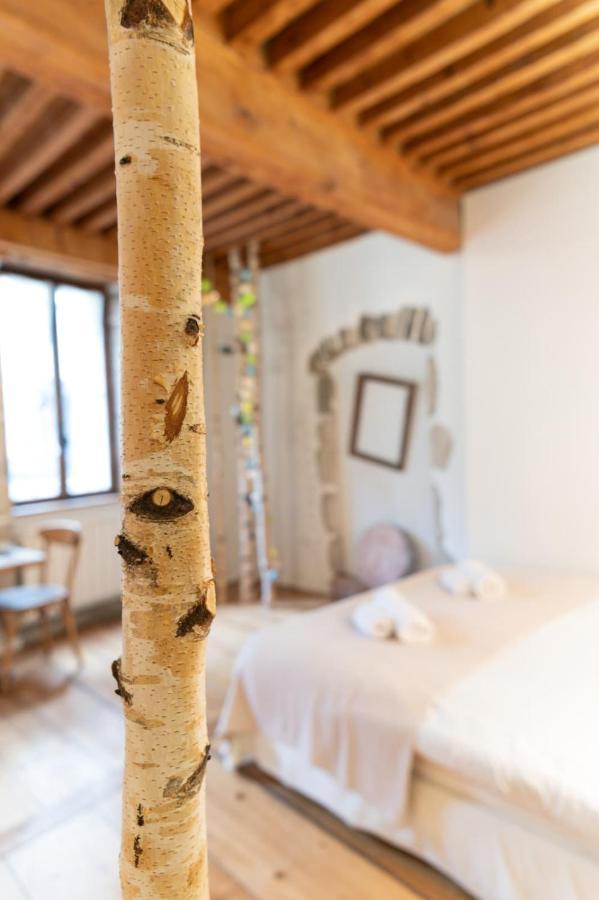La Cour Filaterie - Suite Of 30 Sq M In The Annecy Breakfast Included エクステリア 写真